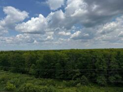 В продаже 3 - х комнатная квартира в ЖК Архитекторов на Алексеевке в пешей доступности от станции метро Победы фото 14 В продаже 3 - х комнатная квартира в ЖК Архитекторов на Алексеевке в пешей доступности от станции метро Победы фото 14