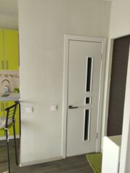 В продаже гостинка станция метро Академика Павлова с видом на озеро фото 13 В продаже гостинка станция метро Академика Павлова с видом на озеро фото 13