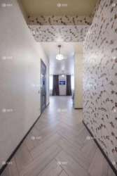 2�.  65.5 �2. ����� �� ������ ���� 11