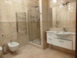 ����� ����� ���� 8