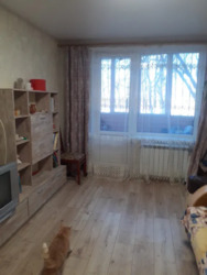 ��������� �������� ���������� �����, 258, �����, ���������, ���������� (�����������) ���� 5