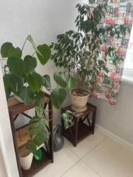 ��������� �������� ���������, �����, �������������, ����������, ������������ ��., �. �������� ���� 3