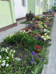 Продам однокомнатную квартиру ЖК Мира 40 м. кв. фото 19 Продам однокомнатную квартиру ЖК Мира 40 м. кв. фото 19