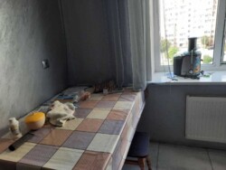 ��������� �������� ���������� �����, 73�, �����, ���������, ���������� (�����������), ������ ��������, �. ��������� (����������� ��������) ���� 5