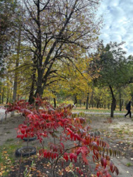 ������ ������� 1-��. �������� ��� ������� ���� 6