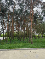 � ������� 1 - ������� �������� � �� ������ ���. ���������� ������� ����� �������� ������� ���� 18