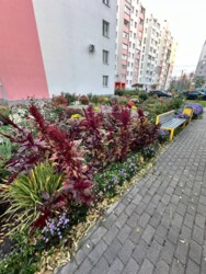 � ������� 3 - ������� �������� � �� ����-1 ������� ����� ��. �.����������� ���� 23