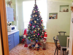 2х комнатная квартира ХТЗ 25 больница фото 5 2х комнатная квартира ХТЗ 25 больница фото 5