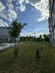 ������� �������� � �������� ���������� ��������� ����� ���������� ���� 9