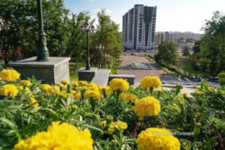 Продається квартира Ботанический пер., 2, Харків, Харківська, Шевченківський, ЦЕНТР, м. Майдан Конституції (Радянська) фото 19 Продається квартира Ботанический пер., 2, Харків, Харківська, Шевченківський, ЦЕНТР, м. Майдан Конституції (Радянська) фото 19