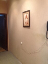 ��������� �������� ���������� ��., 12, �����, ���������, �������������, ���, �. ���������� ����� ���� 3