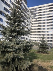 ��������� �������� ������ �������� ��. (���������� ��.), 160, �����, ���������, �������������, ����� ����, �. ����� ������ ���� 7