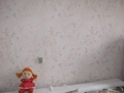 ��������� �������� ����������, ����������, ��������� ���� 6