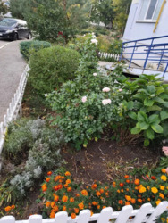 ������ 1 �. ��. � �� ����������� ���� 19