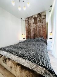 ������ 1 �������� �� ���������� � �������� � ������� ���� 12