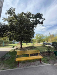 ������ 3����� ��������� 69�2,� ��������, ������,�������! ���������� ���� 20