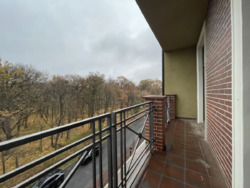 ��������� �������� ������������� ��., �����, ���������, �������������, ����������, �. 23 ������ ���� 4