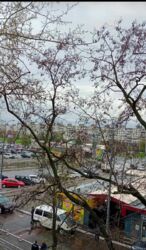 Продається квартира Тракторостроителей пр., 100в, Харків, Харківська, Салтівський (Московський), Салтовка 604 м/р, м. Академіка Барабашова фото 8 Продається квартира Тракторостроителей пр., 100в, Харків, Харківська, Салтівський (Московський), Салтовка 604 м/р, м. Академіка Барабашова фото 8