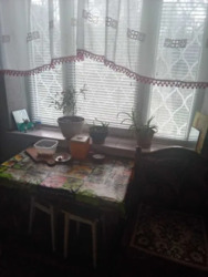 ������ 2 �� 533 ��� �������� �� �����. ���� 8