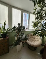 � ������� �������� 4-� ��������� �������� ��. �������� 22-� �� ������� ���� 11