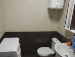 ��������� �������� ���������, �����, ���������� (�����������), ��������, �. ��. �������, ����������-���������� ��., 29�, �. �������� ������� ���� 6