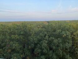 В продаже 1-комнатная квартира в ЖК «Победы 2» S=41,05 м2 фото 8 В продаже 1-комнатная квартира в ЖК «Победы 2» S=41,05 м2 фото 8