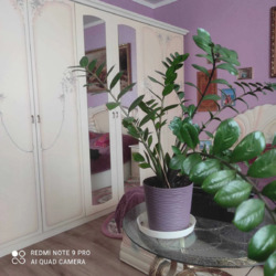 Продається квартира Харківська, Харків, Новобаварський, БАВАРИЯ, Любови Малой пр. (Постышева пр.), 34, м. Холодна гора фото 1 Продається квартира Харківська, Харків, Новобаварський, БАВАРИЯ, Любови Малой пр. (Постышева пр.), 34, м. Холодна гора фото 1