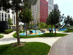 ��������� �������� �������������� �����, ���, �����������, �. �������� ���� 5