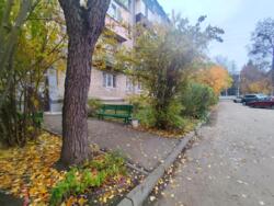 �������� ���� ���. (����������), 37 ���� 13