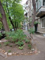 3к квартира в кирпичном доме в самом центре Харькова фото 14 3к квартира в кирпичном доме в самом центре Харькова фото 14