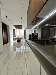 ��������� �������� ������������ �����, 55, �����, ���������, ��������������, �������� ����, �. ������� ���� ���� 13