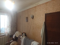 Продам 3 ком на Квитки Цисык. фото 9 Продам 3 ком на Квитки Цисык. фото 9