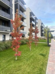 ������ 3-������� �������� �� ������� ���� 2