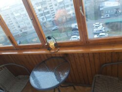 Продаж 4-к квартири по вул. Молоді фото 8 Продаж 4-к квартири по вул. Молоді фото 8