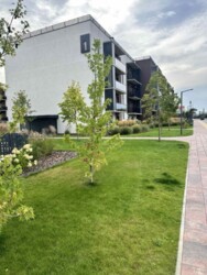 ������ 3-������� �������� �� ������� ���� 1