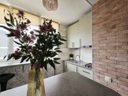 🏡 ������ 1-������� �������� � ���������� ��������� � �� ����� ���� 1