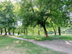 ��������� 2-������� �������� �� ������ ������`���. ���� 13