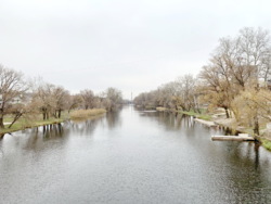 ��������� ������� ����������� �������� � ��������� �� ������ �������. ���� 24