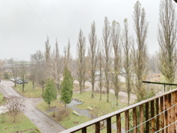 Продається кімната в гуртожитку по вулиці Ковпака. фото 10 Продається кімната в гуртожитку по вулиці Ковпака. фото 10