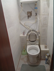 ������ 1 ������� �������� ���� 4