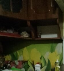 3� ������� �������� �� ������������� ����� ���� 3