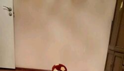 3� ������� �������� �� ������������� ����� ���� 2