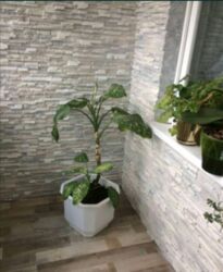 3� ������� �������� �� ��� ���� 4