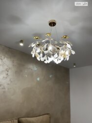 ��������� �������� ³�����, ³�������, ���������� ���� 14