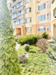 ��������� �������� ³�����, ³�������, ������ ���� 15