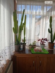 ��������� �������� �������, ³�����, ³�������, ������� ���� 22