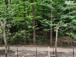 ��������� �������� ³�����, ³�������, �����, �� Forest Home ���� 2