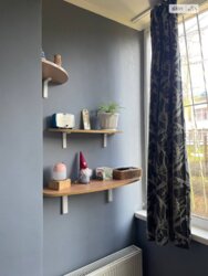 ��������� �������� ����������, ³�����, ³�������, �������� ���� 13