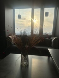 ��������� �������� ³�����, ³�������, ��������, �� ˳���������� ���� 15