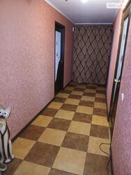 ��������� �������� �������, ³�����, ³�������, ������� ���� 17